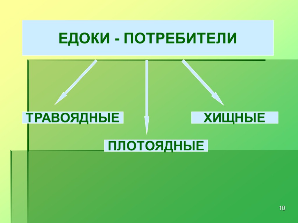 10 ЕДОКИ - ПОТРЕБИТЕЛИ ТРАВОЯДНЫЕ ПЛОТОЯДНЫЕ ХИЩНЫЕ